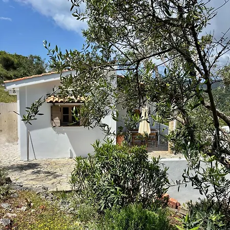 Villa Amadea Keri
